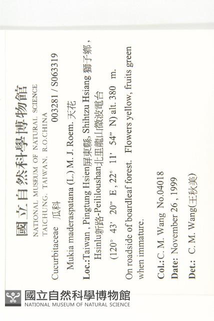 天花藏品圖，第2張