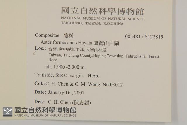 臺灣山白蘭藏品圖，第2張