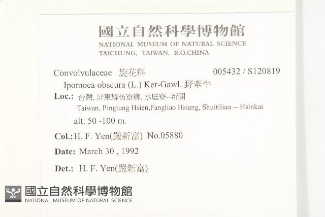 野牽牛藏品圖，第2張