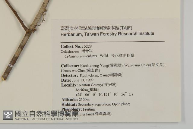 Accession Number:S054819 Collection Image, Figure 2, Total 2 Figures