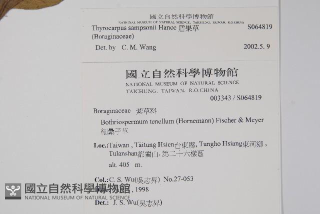 盾果草藏品圖，第2張