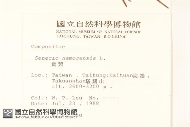 黃菀藏品圖，第2張