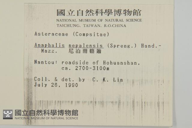 尼泊爾籟簫藏品圖，第2張