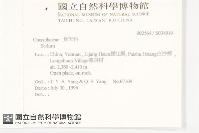 登錄號:S034919藏品圖，第2張