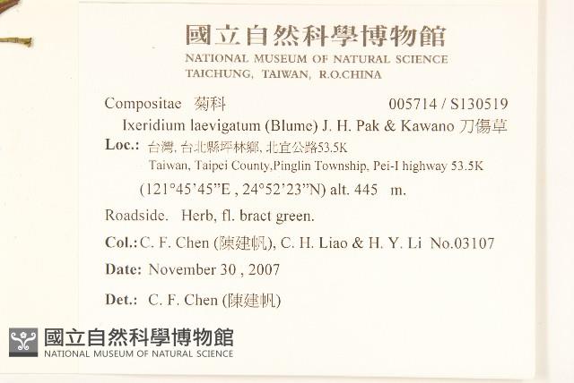 刀傷草藏品圖，第2張