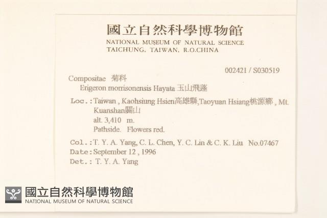 玉山飛蓬藏品圖，第2張