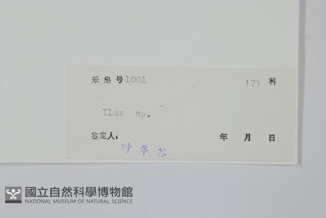 登錄號:S040519藏品圖，第2張