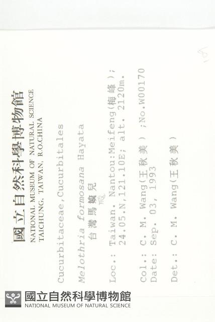 臺灣馬交兒藏品圖，第2張