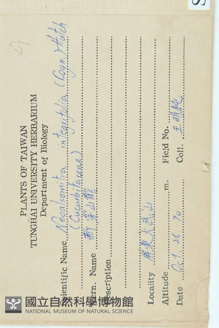 穿山龍藏品圖，第2張