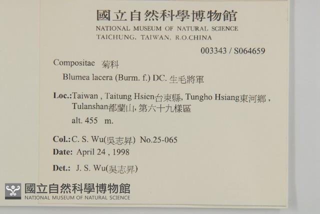 生毛將軍藏品圖，第2張