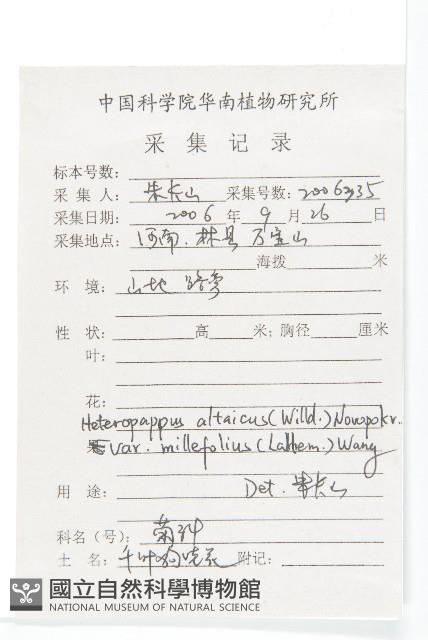 阿爾泰狗娃花藏品圖，第2張