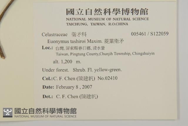 菱葉衛矛藏品圖，第2張