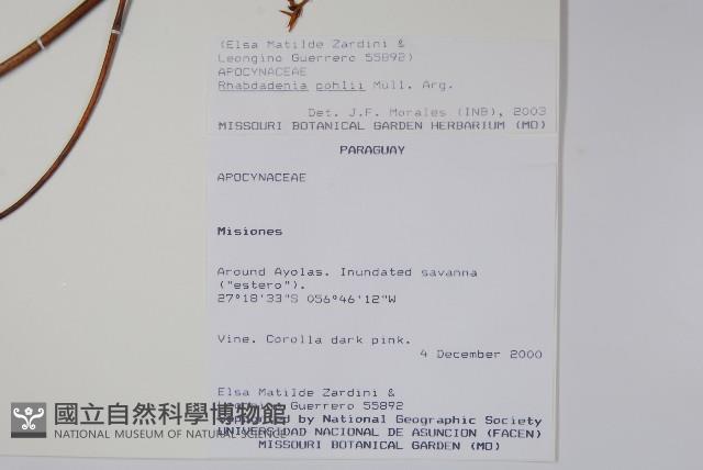 登錄號:S101059藏品圖，第2張