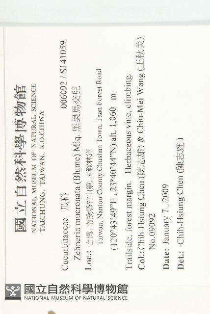 黑果馬交兒藏品圖，第2張