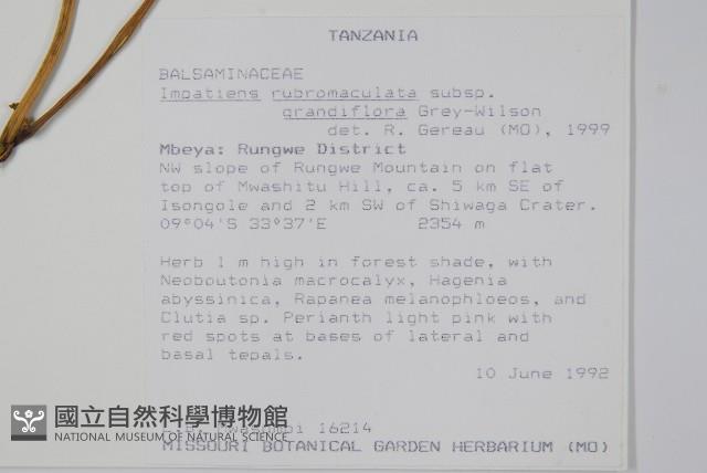 登錄號:S094059藏品圖，第2張