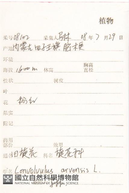 田旋花藏品圖，第2張