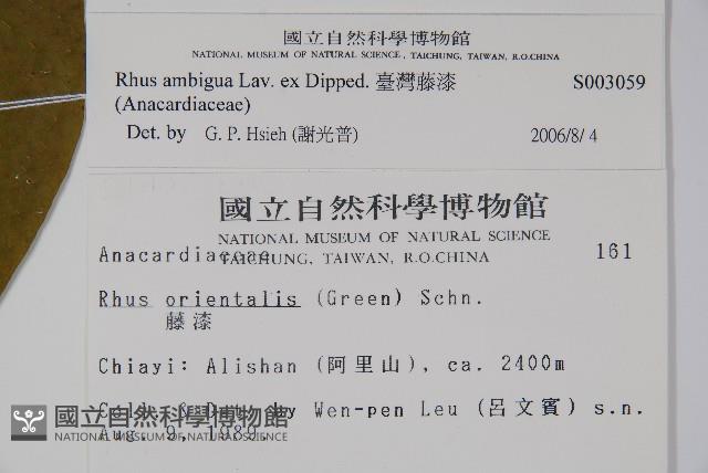 臺灣藤漆藏品圖，第2張