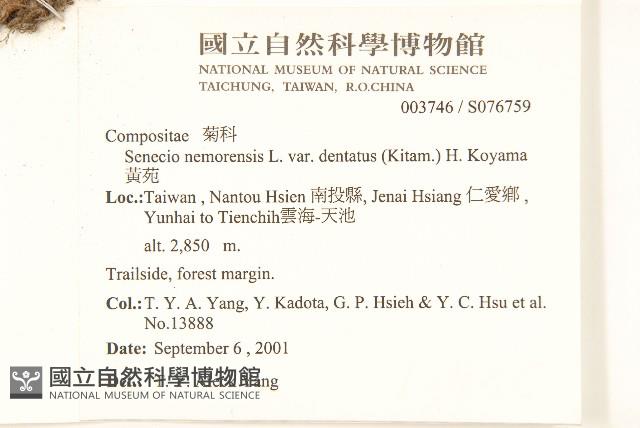 黃菀藏品圖，第2張