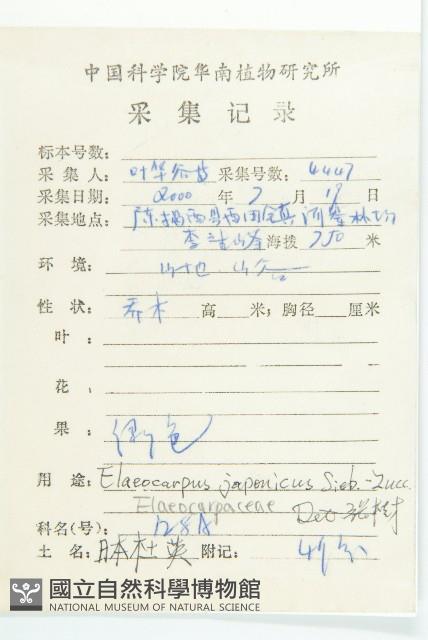 薯豆藏品圖，第2張