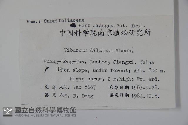 莢迷藏品圖，第2張