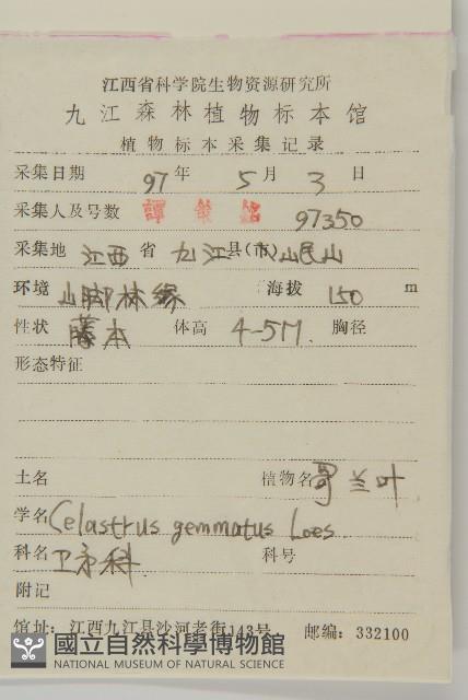 哥蘭葉藏品圖，第2張