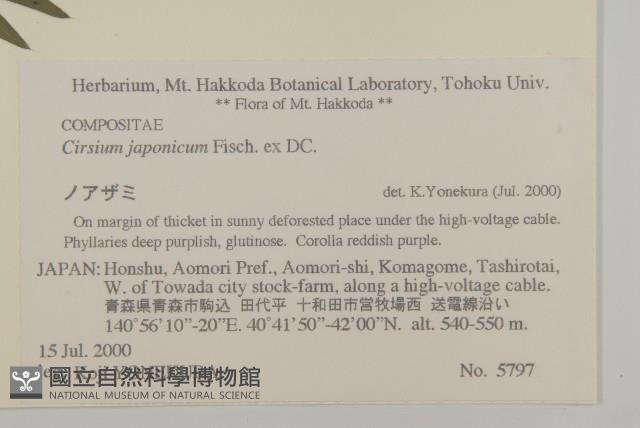 小薊藏品圖，第2張