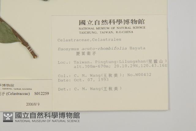 菱葉衛矛藏品圖，第2張