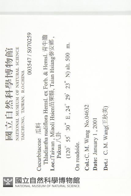 青牛膽藏品圖，第2張