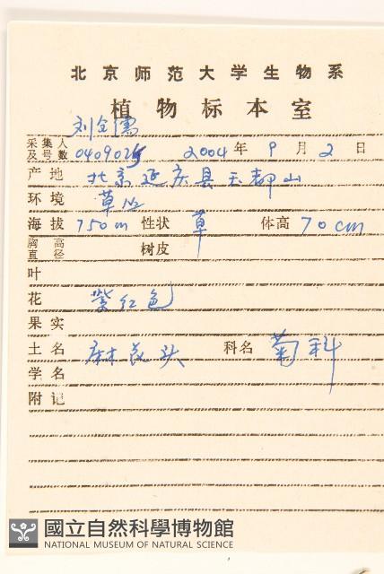 麻花頭藏品圖，第2張