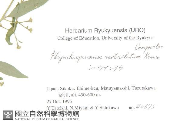 秋分草藏品圖，第2張