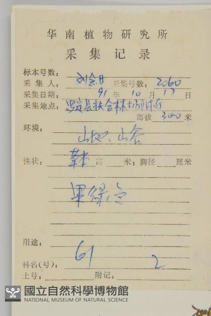 臭杏、土荊芥藏品圖，第2張