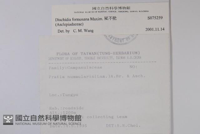 風不動藏品圖，第2張