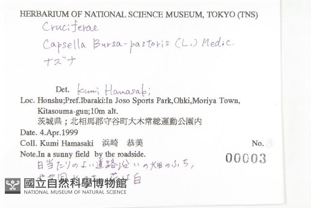 薺藏品圖，第2張