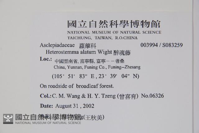 醉魂藤藏品圖，第2張