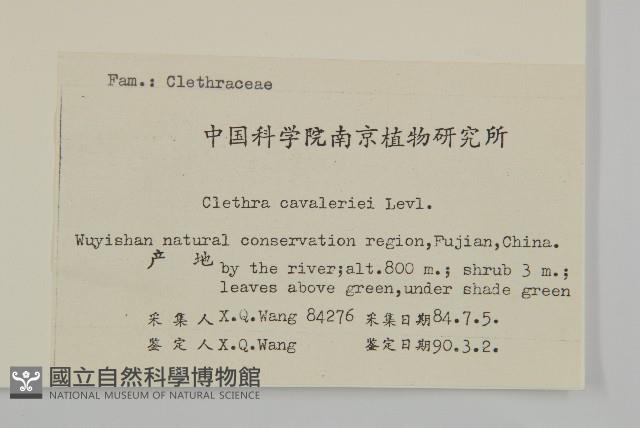 江南山柳藏品圖，第2張