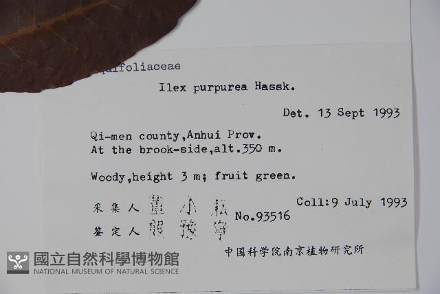 冬青藏品圖，第2張