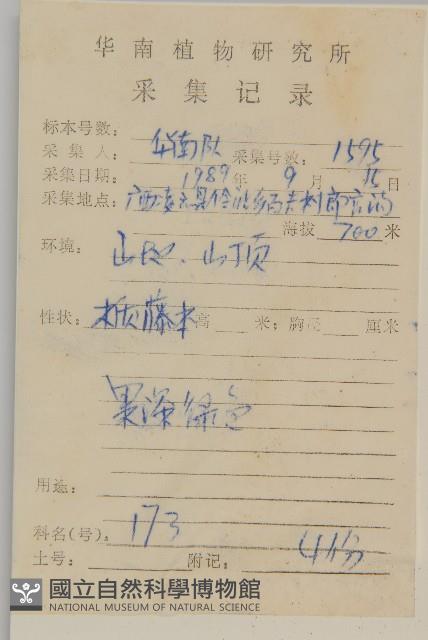 南蛇藤藏品圖，第2張