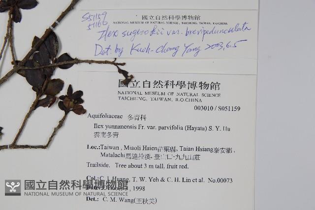 太平山冬青藏品圖，第2張