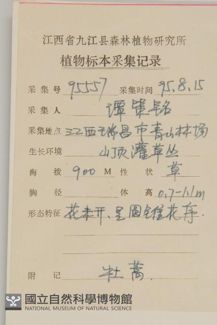 牡蒿藏品圖，第2張