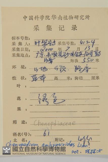 臭杏、土荊芥藏品圖，第2張