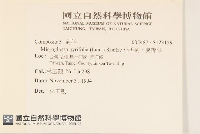 小舌菊、蔓綿菜藏品圖，第2張