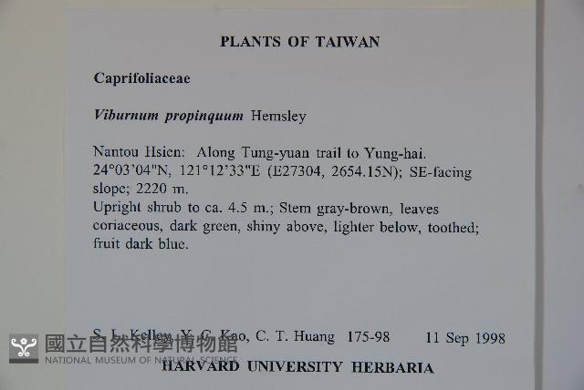 高山莢迷藏品圖，第2張