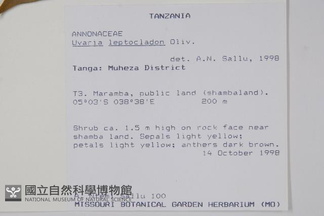 登錄號:S096359藏品圖，第2張