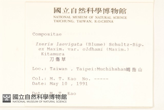 刀傷草藏品圖，第2張
