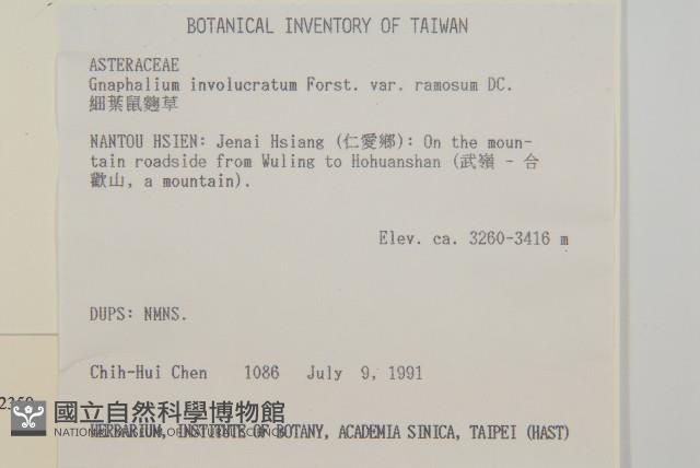 玉山抱莖籟簫藏品圖，第2張