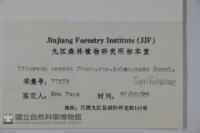 登錄號:S024359藏品圖，第2張