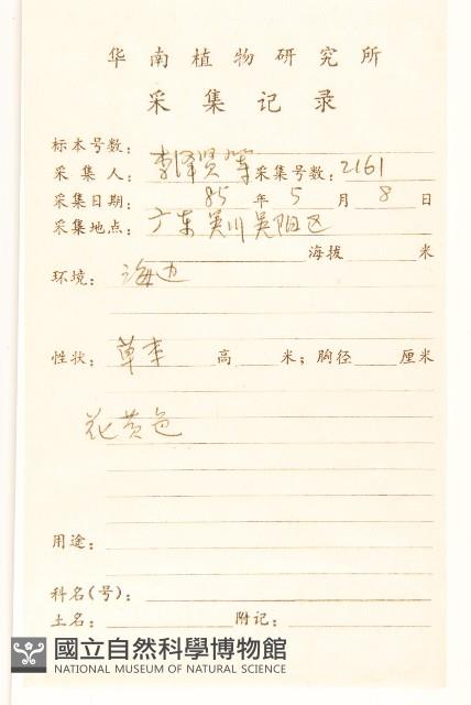 長柄菊藏品圖，第2張