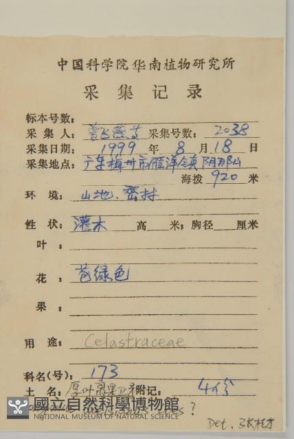 裂果衛矛藏品圖，第2張