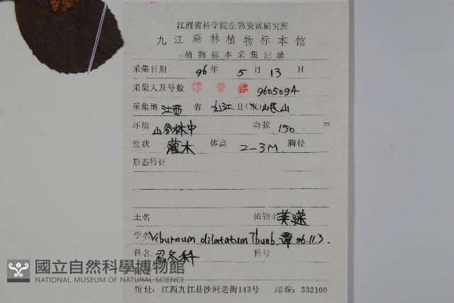 莢迷藏品圖，第2張