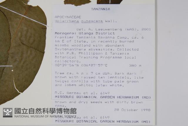 止瀉木藏品圖，第2張